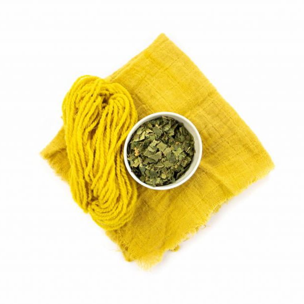 Dabīgā krāsviela, bērza lapas 100g