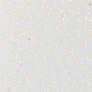 Embossing Reljefa pulveris 10g - caurspīdīgs